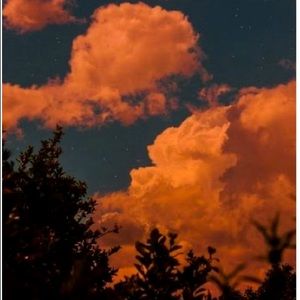 Meet your Posher, Aida